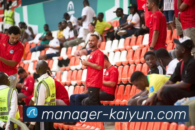 开云官网APP 封面图